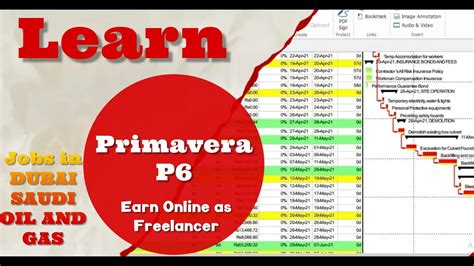 Primavera P6 Tutorial for Beginners .